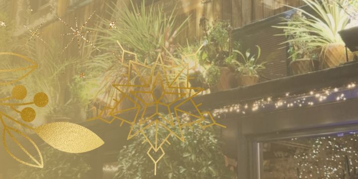 The Night We'll Be Talking About Until Next Christmas!